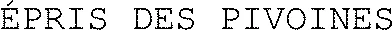 ÉPRIS DES PIVOINES