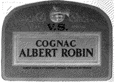 ALBERT ROBIN VS