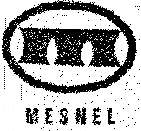 M MESNEL