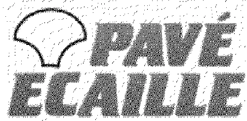 PAVE ECAILLE