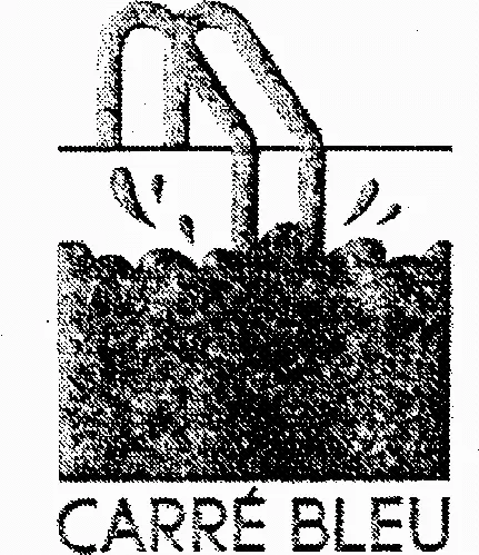 CARRE BLEU