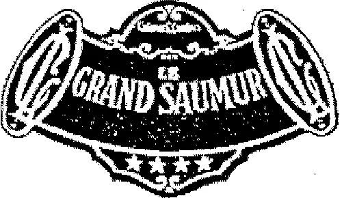 LE GRAND SAUMUR