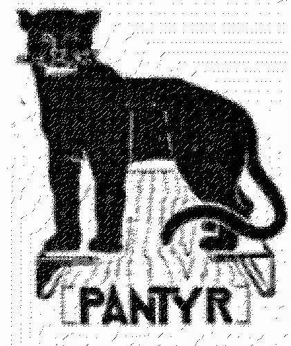 PANTYR