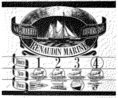 RENAUDIN MARINE