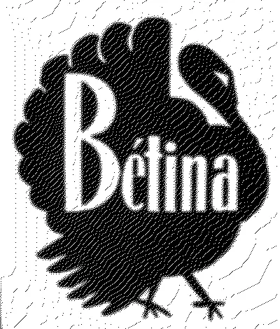 BETINA