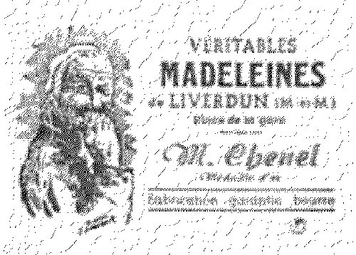 VERITABLES MADELEINES DE LIVERDUN M. CHENEL