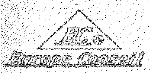 EC EUROPE CONSEIL