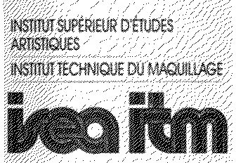 INSTITUT SUPERIEUR D'ETUDES ARTISTIQUES INSTITUT TECHNIQUE DU MAQUILLAGE ISEA ITM