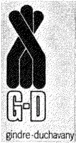 GD GINDRE-DUCHAVANY