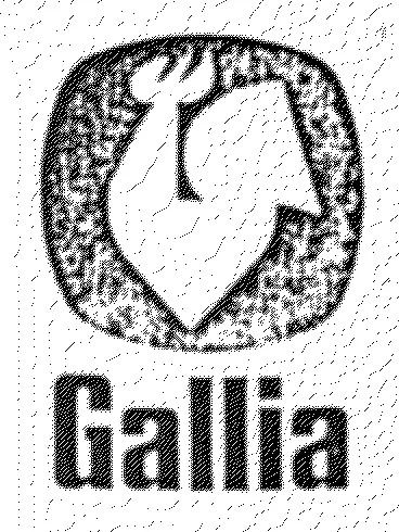 GALLIA
