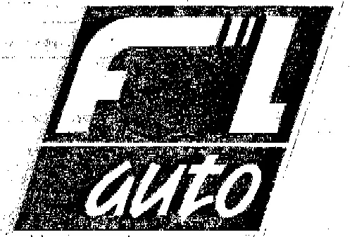 FL AUTO