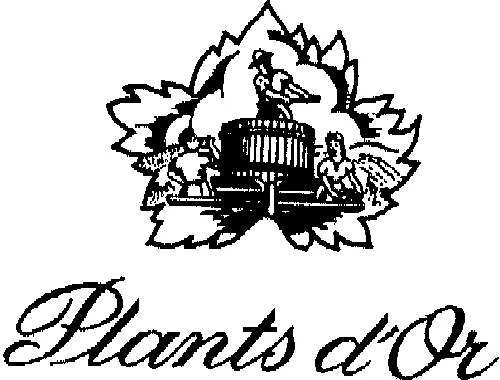 PLANTS D'OR