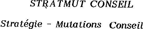 STRATMUT CONSEIL STRATEGIE MUTATIONS CONSEIL