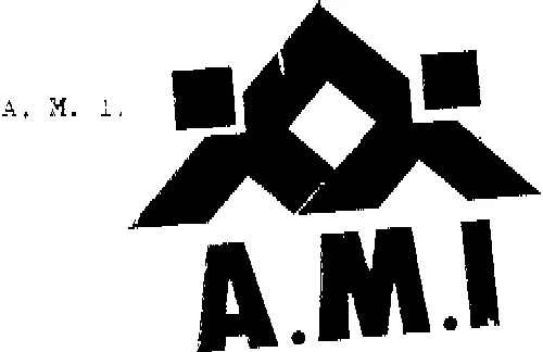 A.M.I.