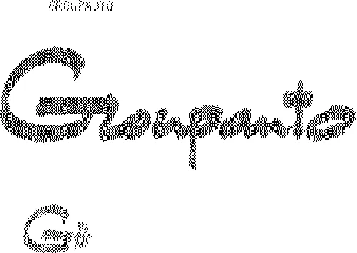 G GROUPAUTO