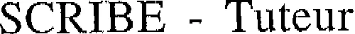 SCRIBE-TUTEUR