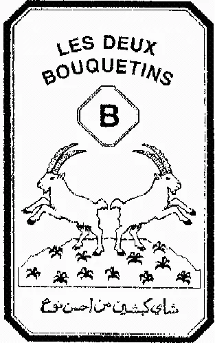 B LES DEUX BOUQUETINS