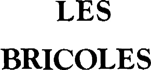 LES BRICOLES