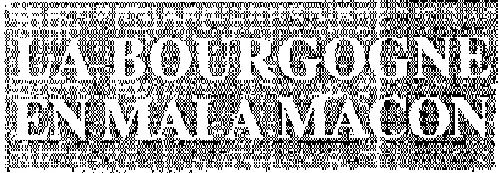 LA BOURGOGNE EN MAI A MACON