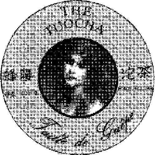 THE TUOCHA TAILLE DE GUEPE