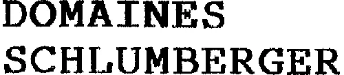 DOMAINES SCHLUMBERGER