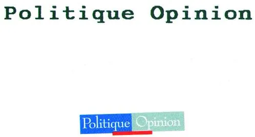 Politique Opinion