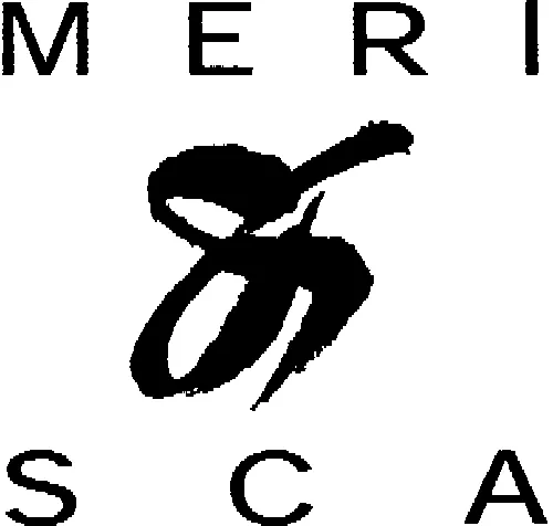 MERI & S CA