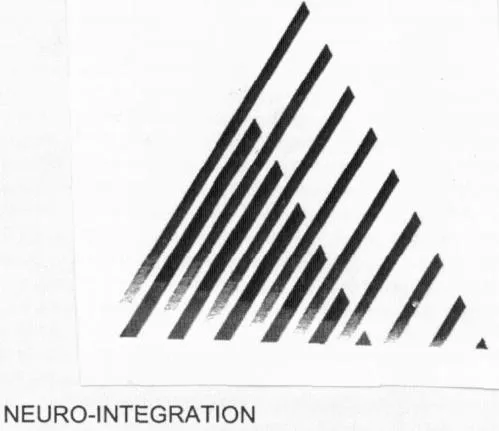 NEURO-INTEGRATION