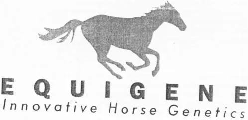 EQUIGENE INNOVATIVE HORSE GENETICS