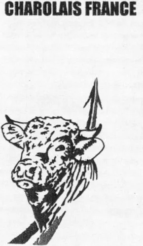 CHAROLAIS FRANCE