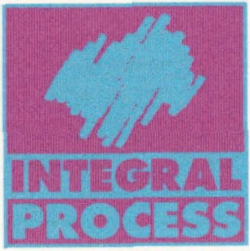 INTEGRAL PROCESS
