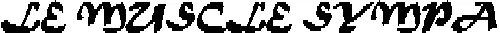LE MUSCLE SYMPA