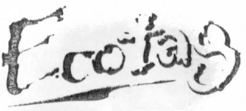 ECOTAG