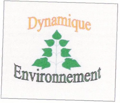 DYNAMIQUE ENVIRONNEMENT