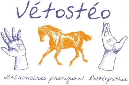 VETOSTEO VETERINAIRES PRATIQUANT L'OSTEOPATHIE
