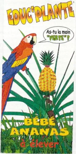 EDUC PLANTE AS-TU LA MAIN *VERTE* ! BEBE ANANAS
