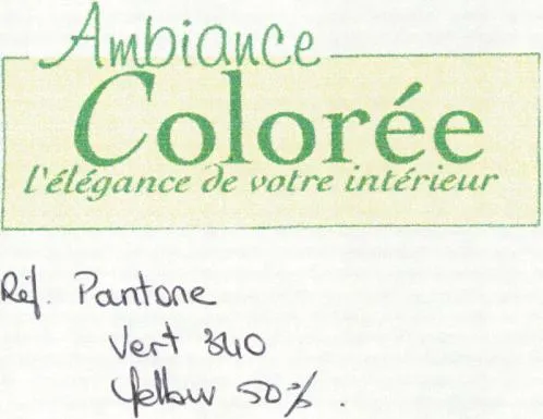 AMBIANCE COLOREE L'ELEGANCE DE VOTRE INTERIEUR