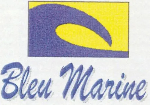 BLEU MARINE