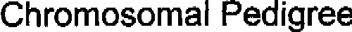 CHROMOSOMAL PEDIGREE