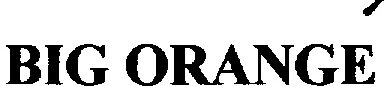 BIG ORANGE