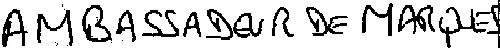 AMBASSADEUR DE MARQUES