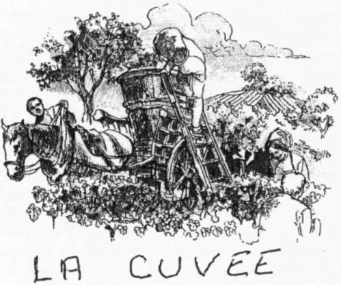 LA CUVEE