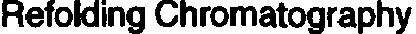 REFOLDING CHROMATOGRAPHY