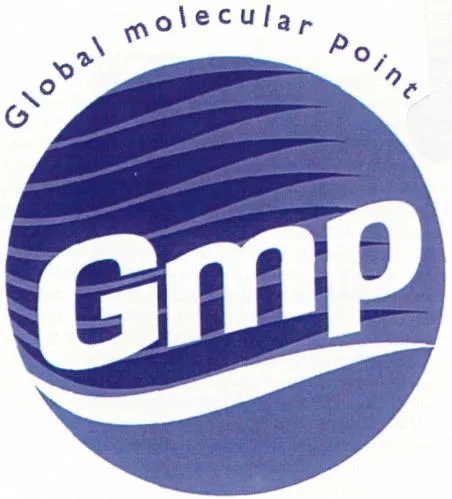 GLOBAL MOLECULAR POINT GMP