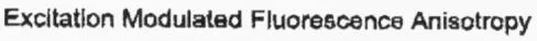 EXCITATION MODULATED FLUORESCENCE ANISOTROPY