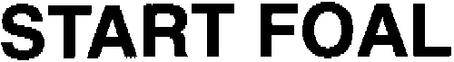 START FOAL