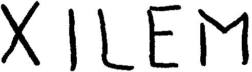 XILEM