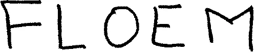 FLOEM
