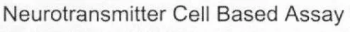Neurotransmitter Cell Based Assay