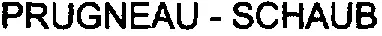 PRUGNEAU - SCHAUB